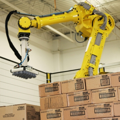 Robotic Case Palletizer