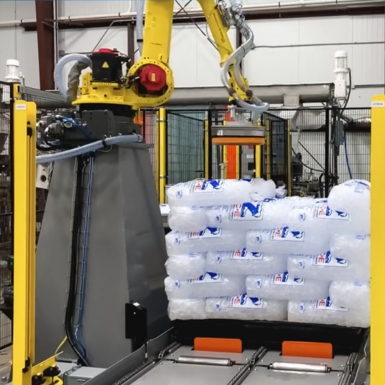 Packaged Ice Palletizer