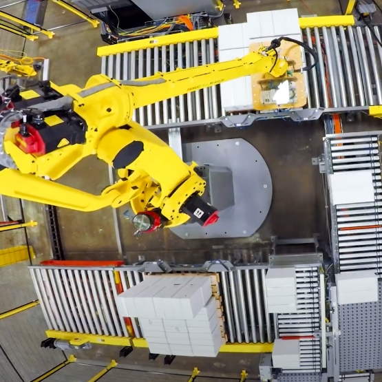 Robotic Palletizer with Multiple Production Lines