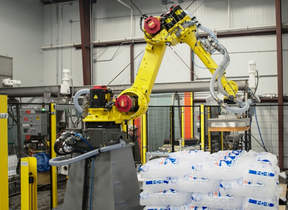 Robotic Palletizer for Ice Bags